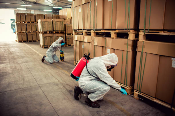 Best Best Pest Control Companies  in Fife Heights, WA