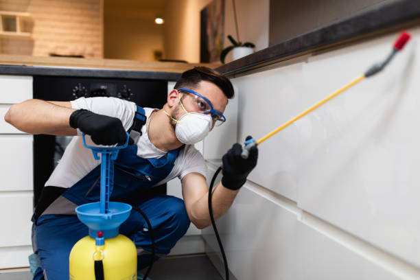Best Best Pest Control Near Me  in Fife Heights, WA
