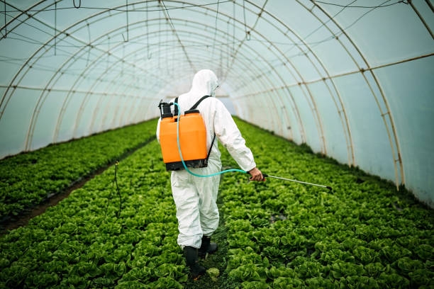 Best Pest Prevention Services  in Fife Heights, WA