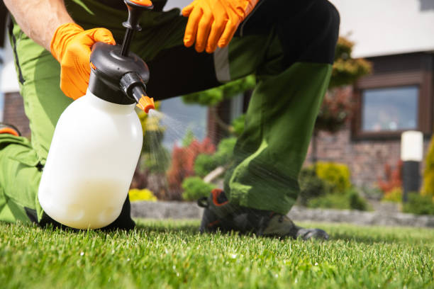 Best Cockroach Control Services  in Fife Heights, WA