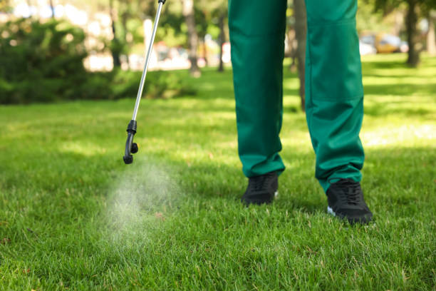 Best Affordable Pest Control Services  in Fife Heights, WA