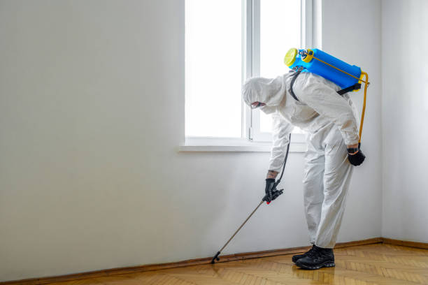 Best Commercial Pest Control Services  in Fife Heights, WA