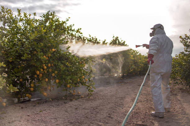  Fife Heights, WA Pest Control Pros