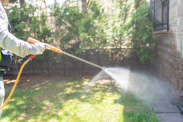 Pest Prevention Services in Fife Heights, WA