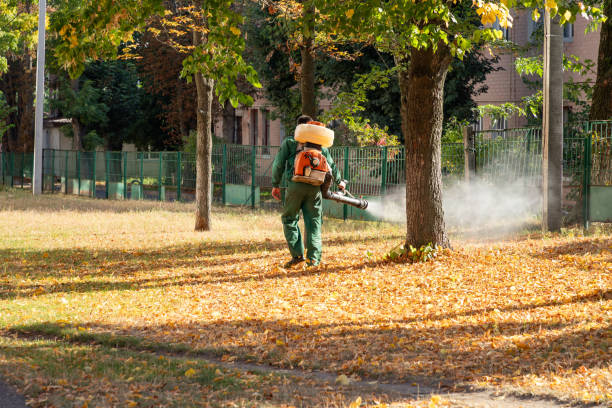Best Best Pest Control Companies  in Fife Heights, WA