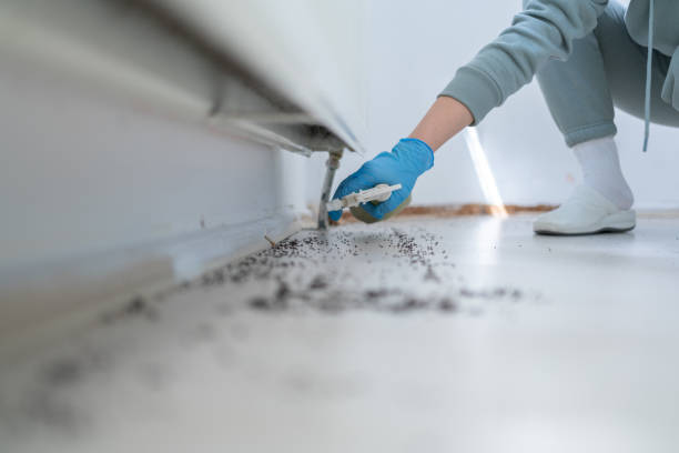 Pest Control for Restaurants in Fife Heights, WA