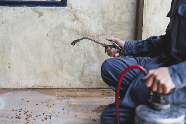 Best Pest Removal Services  in Fife Heights, WA